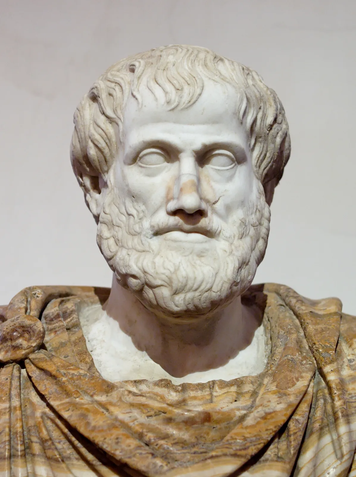 Marble bust of Aristotle, Roman copy after a lost Greek bronze original by Lysippos c. 330 BCE, Palazzo Altemps.