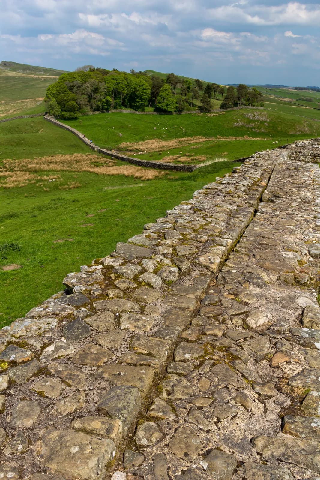 Excavated foundations of a rectangular Roman fort with visible barrack blocks and gateways on a hillside.