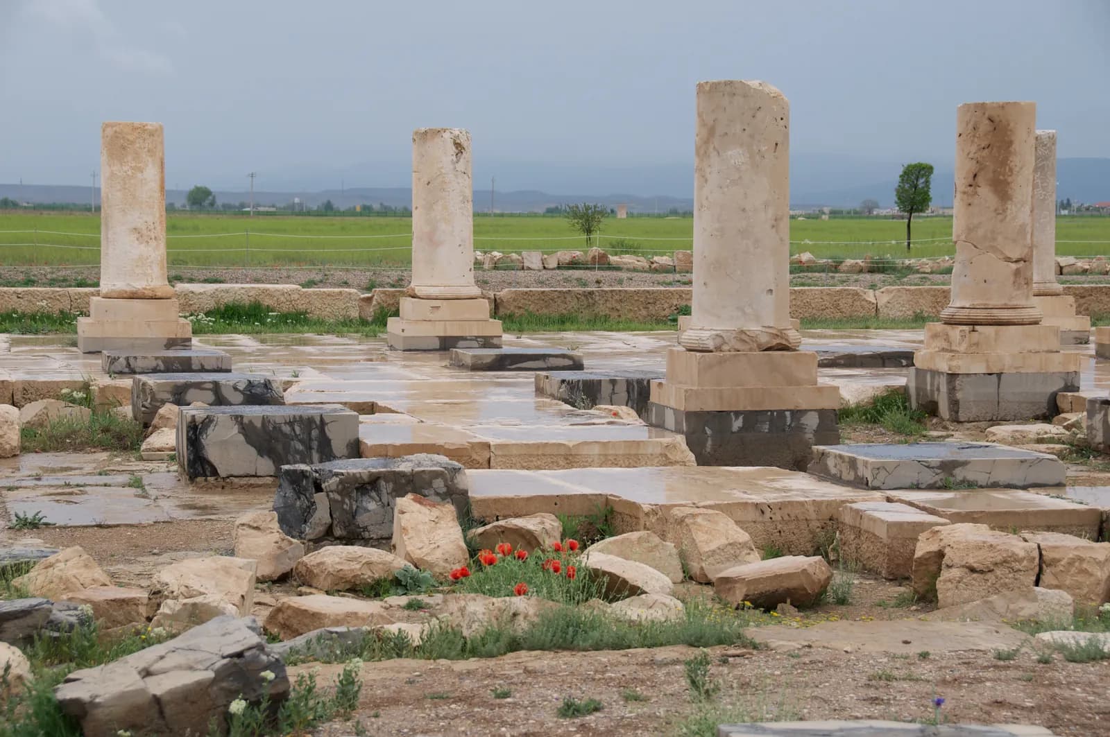 Isolated white stone piers and column bases standing scattered across a wide empty plain under a large sky.
